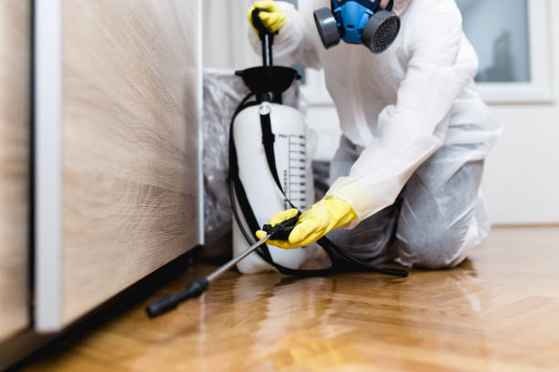 Best Affordable Pest Control Services  in Shrewsbury, NJ