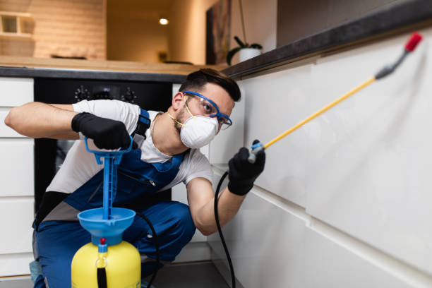 Best Residential Pest Control  in Shrewsbury, NJ