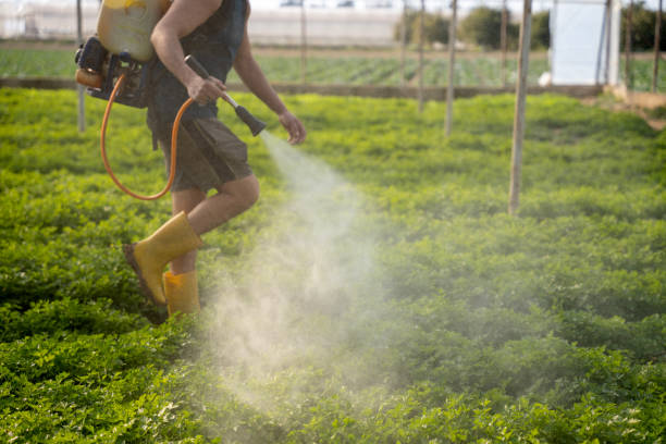 Best Mosquito Control Services  in Shrewsbury, NJ