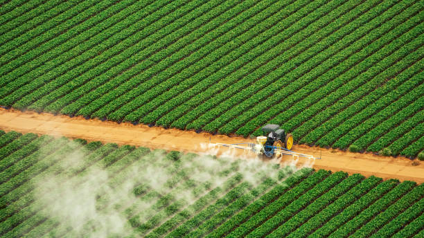 Best Pest Control for Businesses  in Shrewsbury, NJ