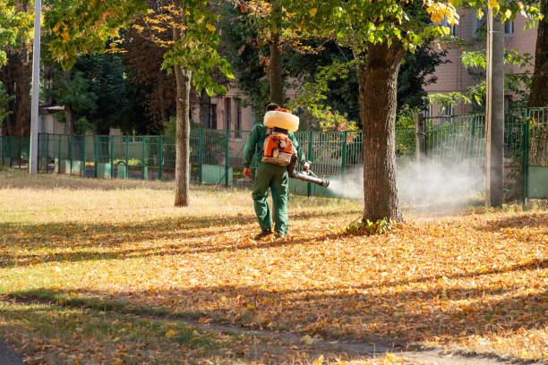 Reliable Shrewsbury, NJ Pest Control Solutions