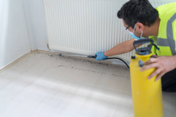 Best Affordable Pest Control Services  in Shrewsbury, NJ